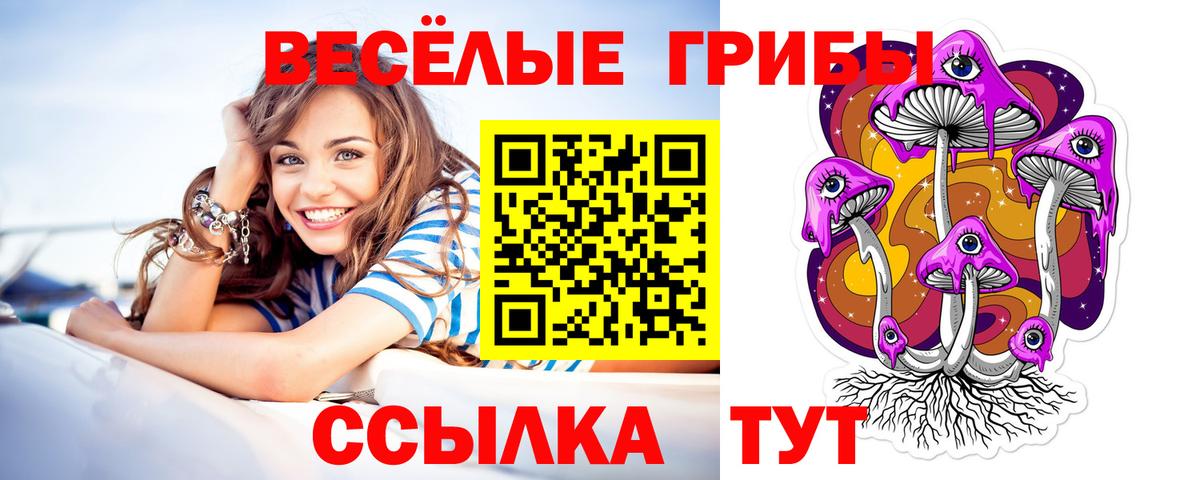Псилоцибиновые грибы GOLDEN TEACHER  Вход с VPN  Сорочинск 